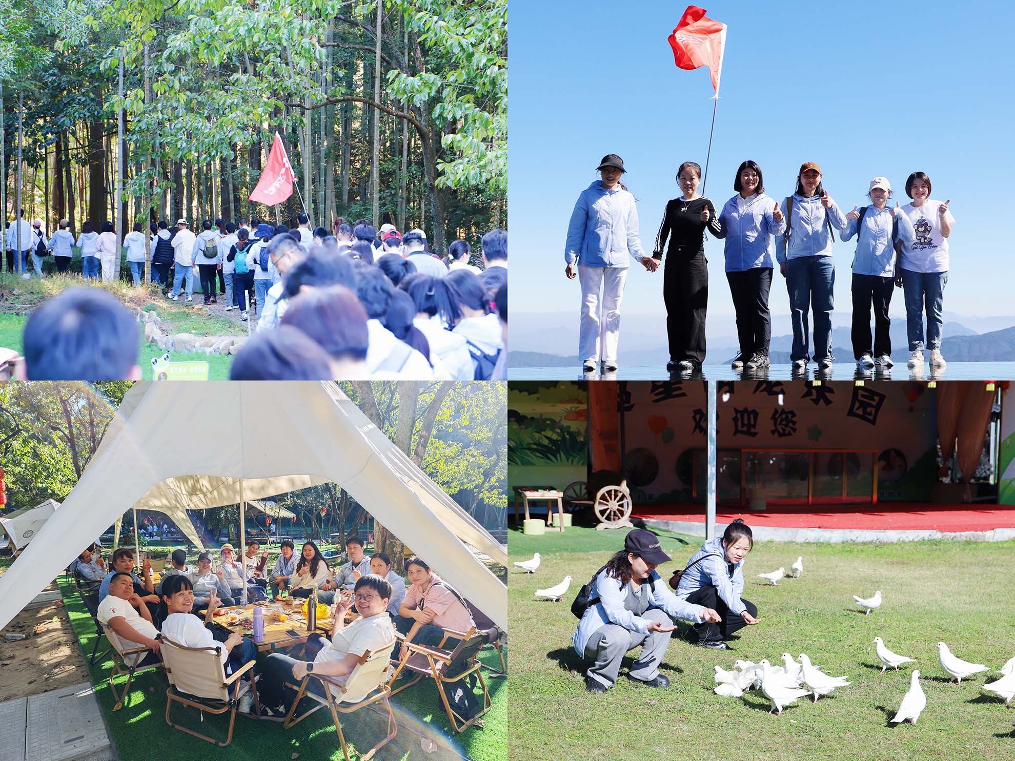 A Journey into Nature, Strengthening Team Spirit — Torch Electron's Autumn Outing Concludes Successfully